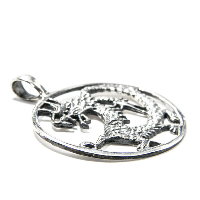 Pandantiv din argint fara pietre - Dragon - P150A48F - imagine 4