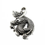 Pandantiv din argint fara pietre - Micul dragon - Unisex - P140A-75